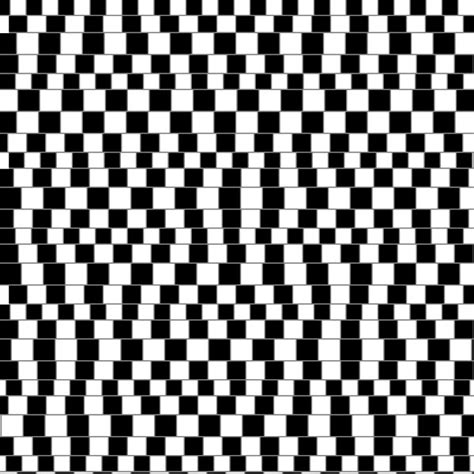 Variation of the Cafe Wall Illusion | An Optical Illusion