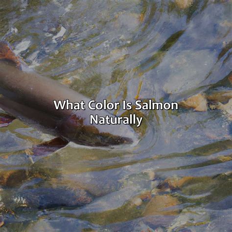 What Color Is Salmon Naturally - colorscombo.com