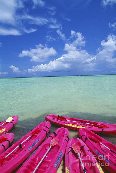 Many Pink Kayaks Photograph by Dana Edmunds - Printscapes - Fine Art America