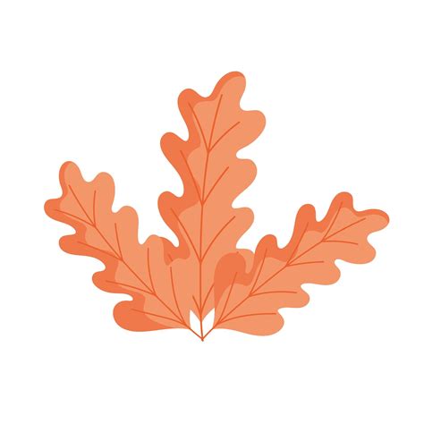 autumn leaf natural 3745631 Vector Art at Vecteezy