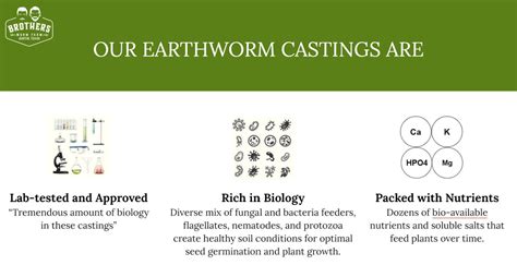 Premium Worm Castings for Sale |Bulk Worm Castings |Brothers Worm Farm