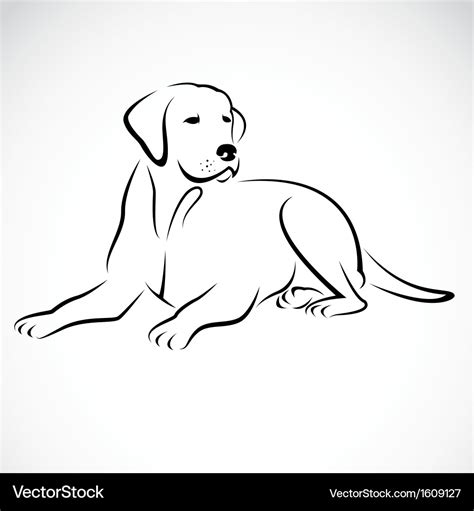 Dog labrador Royalty Free Vector Image - VectorStock