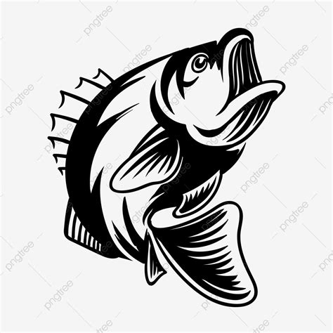 Bass fishing clipart png images detailed bass fish vector illustration ...