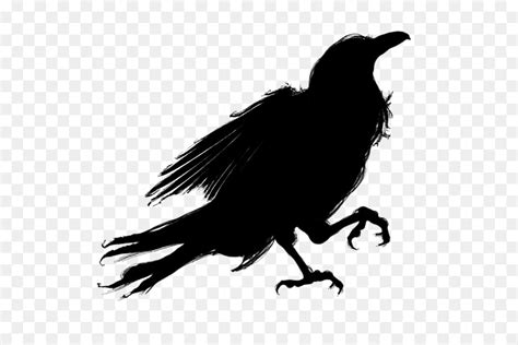 Mockingbird Clipart Halloween Raven Raven Silhouette Gray - Clip Art ...