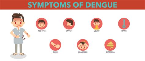 Dengue Fever in India: Causes, Symptoms, and Prevention Strategies for the Rising Cases