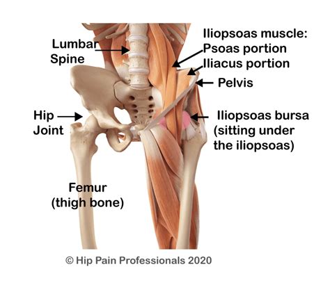 Hip Flexor Pain Causes