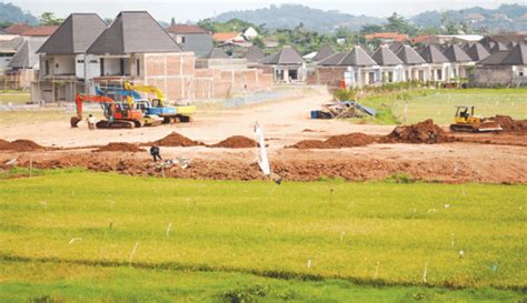 Lahan Sawah Banyak Berubah Jadi Perumahan – KBEonline.id