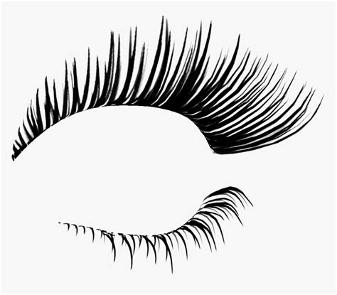 Eyelash Extensions Cosmetics Clip Art - Eyelashes Png, Transparent Png - kindpng