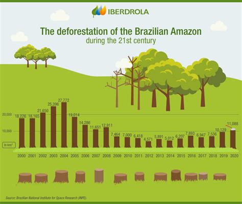 Deforestation in the Amazon and its impact on biodiversity - Iberdrola