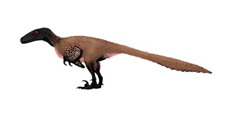 A Dinosaur A Day · Utahraptor ostrommaysorum