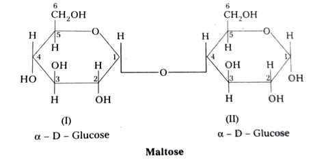 Maltose Structure Diagram