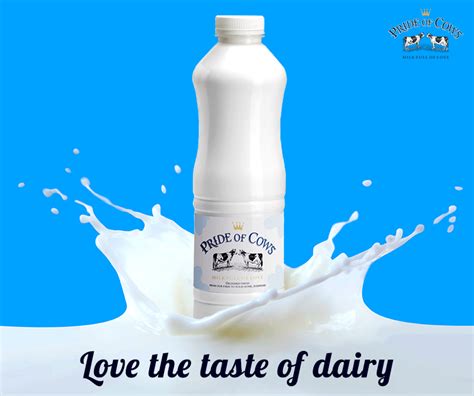 Lookout for the best cow milk brand in India - Organic Cow Milk