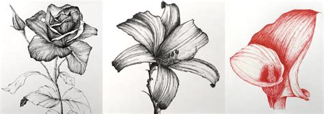 Detailed Drawings Of Flowers