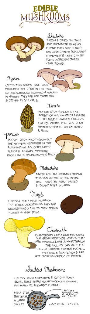 Your Guide To Identifying And Cooking Edible Mushrooms Infographic