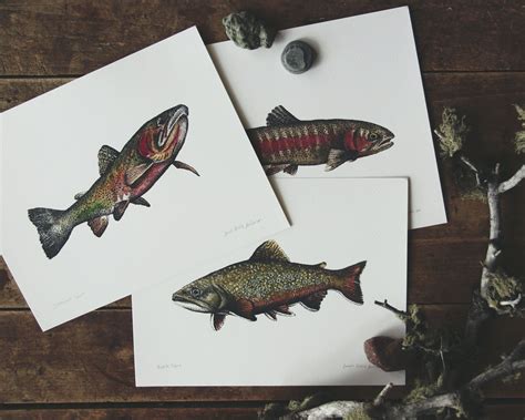 Cutthroat Trout ART PRINT / 5x7 8x10 Giclée Watercolor | Etsy | Trout art, Fish illustration ...