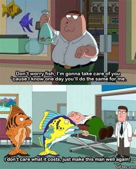 Best Peter Griffin Quotes. QuotesGram