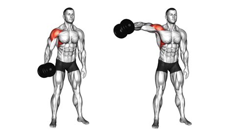 Dumbbell Shoulder Fly: Muscles Worked, Benefits, Tips