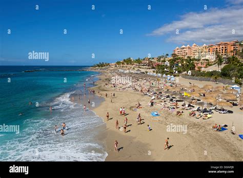 Beach of Playa del Duque, Costa Adeje, Tenerife, Canary Islands, Spain Stock Photo - Alamy