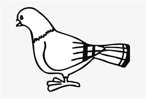 Pidgeons Clipart Bird Outline - Pigeon Clip Art - 640x480 PNG Download - PNGkit