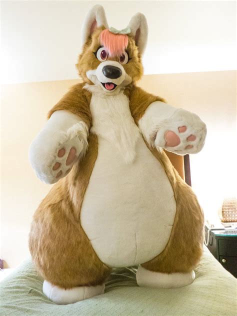 Google Image Result for https://pbs.twimg.com/media/DCY43CuVoAAIKhU.jpg in 2020 | Furry costume ...