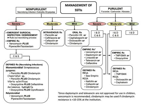 2104 IDSA Cellulitis Treatment Algorithm - REBEL EM - Emergency Medicine Blog