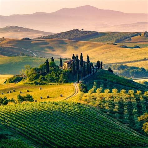 11 Must-Visit Tuscany Wineries - Savored Journeys