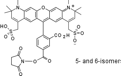 Alexa Fluor 647 Molecular Weight | Blog Dandk