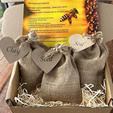 Wildflower Seedball Making Kit — Beebombs