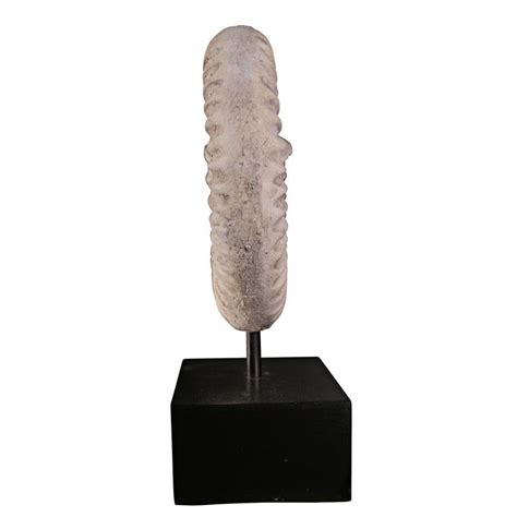 Ammonite Fossil Sculpture on Museum Mount - NE100505 - Design Toscano