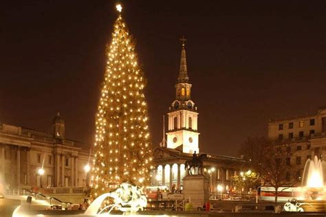 The Trafalgar Square Christmas Tree | Insight Guides Blog