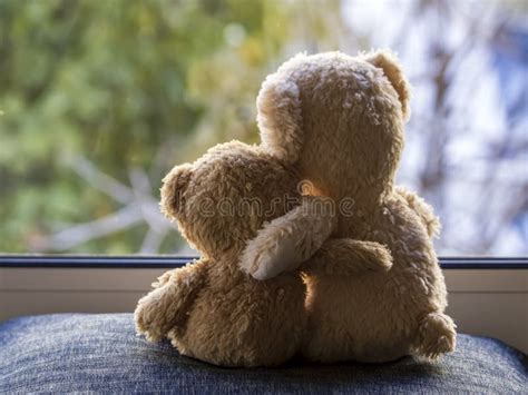 Two Teddy Bears Looking through Window Stock Photo - Image of cute ...