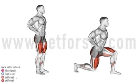 What Muscles Do Lunges Work? - SET FOR SET