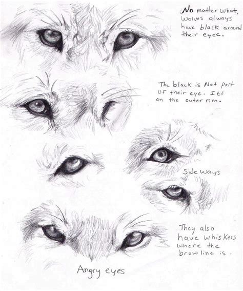 Angry Wolf Eyes Drawings