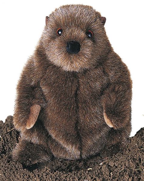 Groundhog Stuffed Animals | Kritters| Groundhog Stuffed Animal