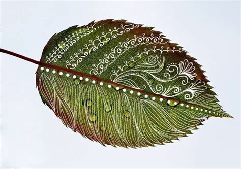 Modern leaf photo art green leaves wall decal botanical leaf