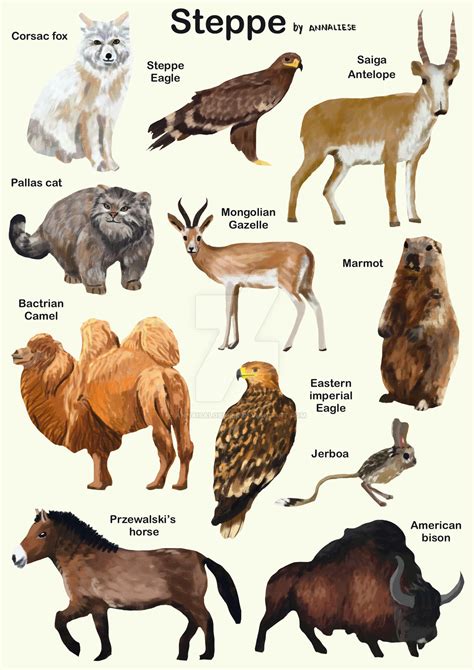 Steppe animals by annaisalobster on DeviantArt