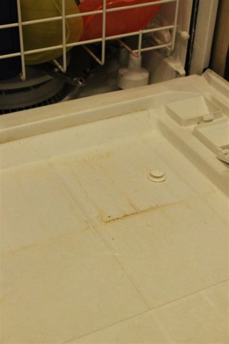 How To Clean A Dishwasher With Vinegar