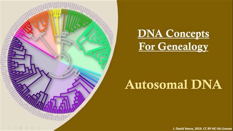 DNA Concepts for Genealogy: Autosomal DNA - YouTube