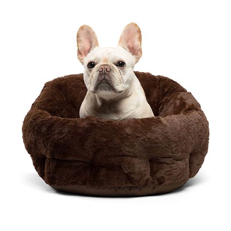 The Best Heated Dog Beds in 2019 | VetsRecommend