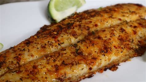 Oven Roasted Fish Fillet Recipes | Dandk Organizer