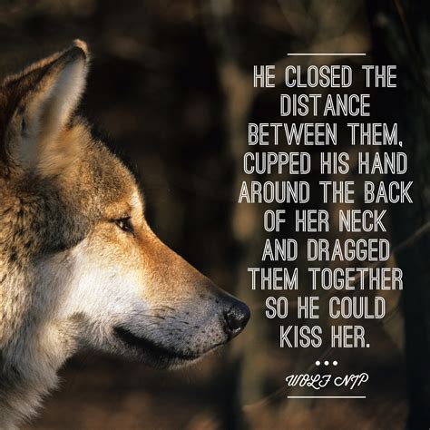 Alpha Wolf Quotes. QuotesGram