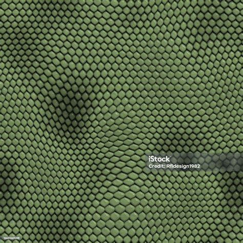 Alligator Skin Texture Stock Illustration - Download Image Now - Dinosaur, Animal Scale, Skin ...