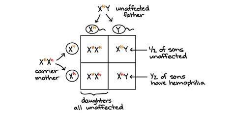 Mendelian genetics - San Francisco de Paula, Science Department.