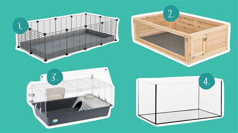 The Best Cages for Guinea Pigs | Guinea Pig Cages | Kavee USA