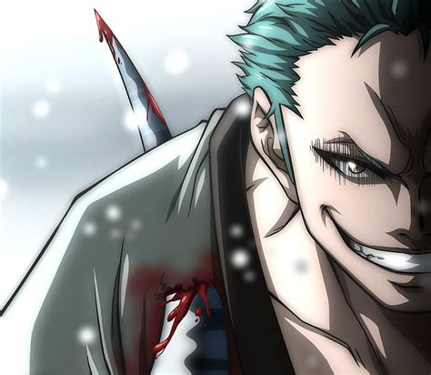 HD wallpaper: One Piece, Roronoa Zoro | Wallpaper Flare