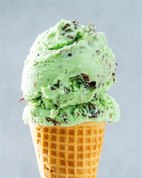 Mint Chocolate Chip Ice Cream – A Couple Cooks