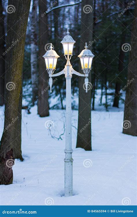 Vintage Lamp Post On A Winter Night In A Forest Stock Photo - Image of lamp, rime: 84565594