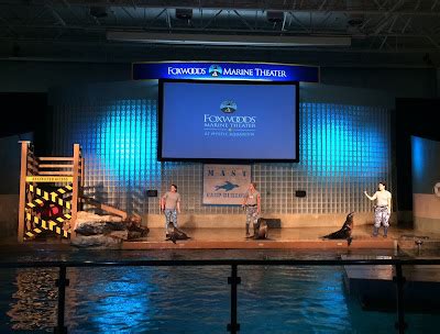 Evan and Lauren's Cool Blog: 8/16/15: Mystic Aquarium Beluga Whales and More