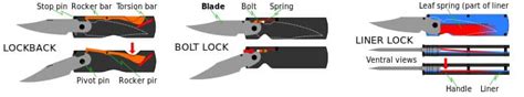 5 Pocket Knife Safety Rules (User's Guide)- KnifeEdge.net