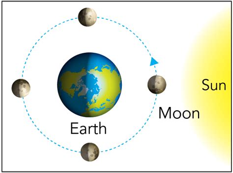 The Earth Moon System - Let's Talk Science